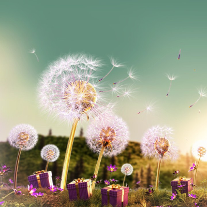 اعلام نتایج قرعهکشی سیزدهمین دوره جشنواره قرضالحسنه بانک اقتصادنوین اعلام نتایج قرعهکشی سیزدهمین دوره جشنواره قرضالحسنه بانک اقتصادنوین